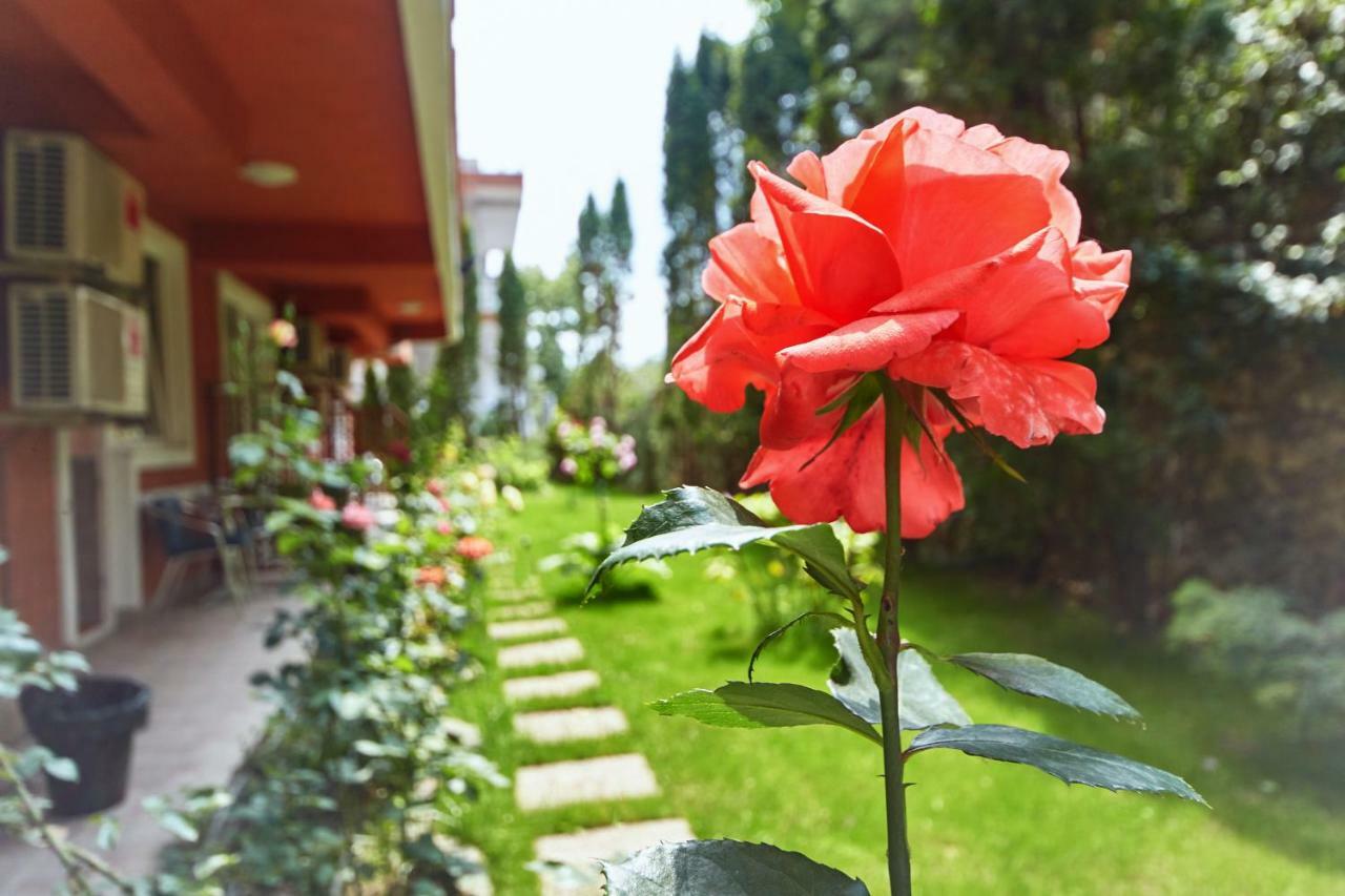Leonardo Hotel Skopje Luaran gambar